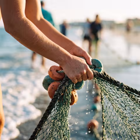 Seine net haul by hand, macro — Course imagery, fisheries field methods.